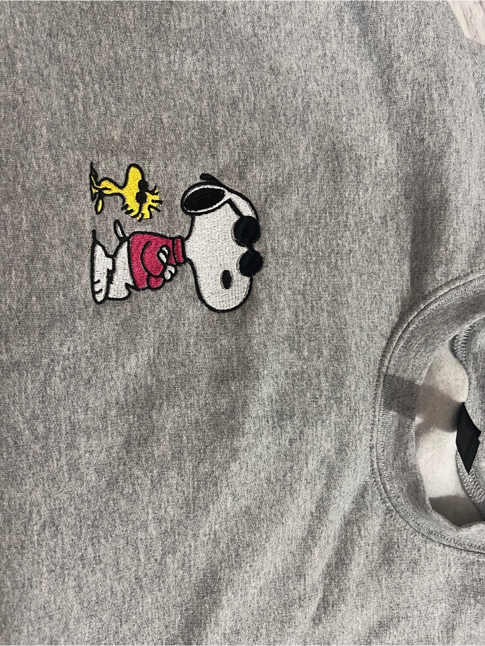 Gray Snoopy & Woodstock Dog Embroidered Sweatshirt - Gray
